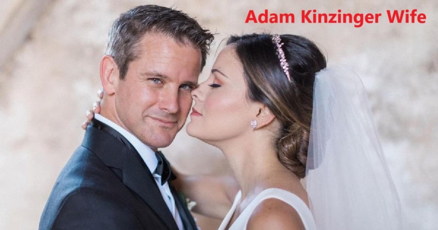 Adam Kinzinger Wife